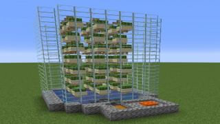 Starter Cactus Farm